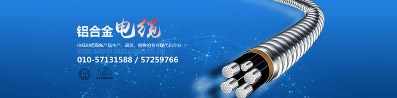 滄州市統(tǒng)計工作規(guī)范化建設(shè)推進(jìn)會在華倫公司順利召開！